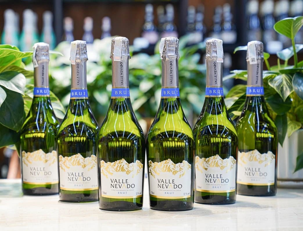 Ruou Vang Chile Valle Nevado Sparkling 9