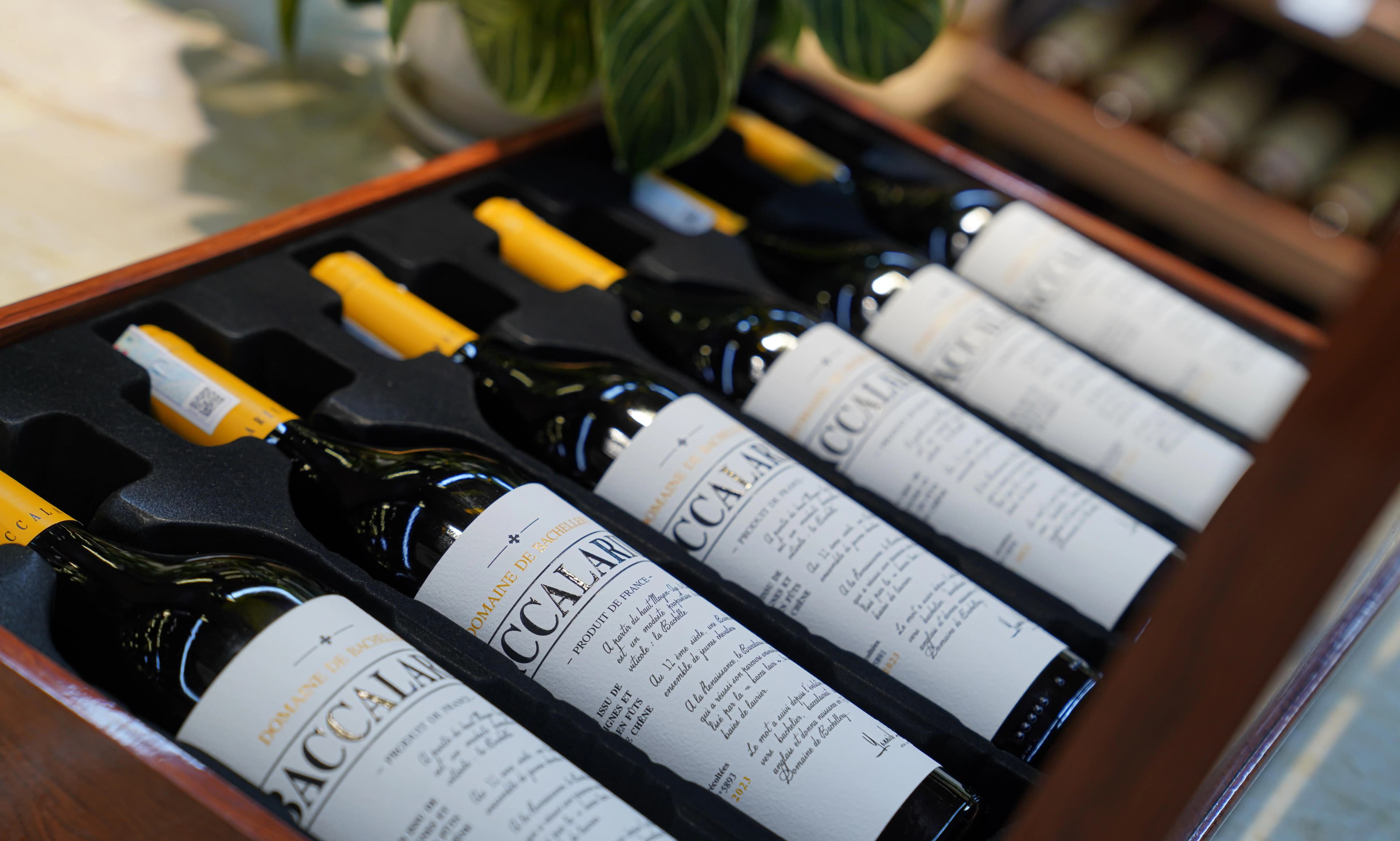 Ruou Vang Trang Baccalarius Blanc 11