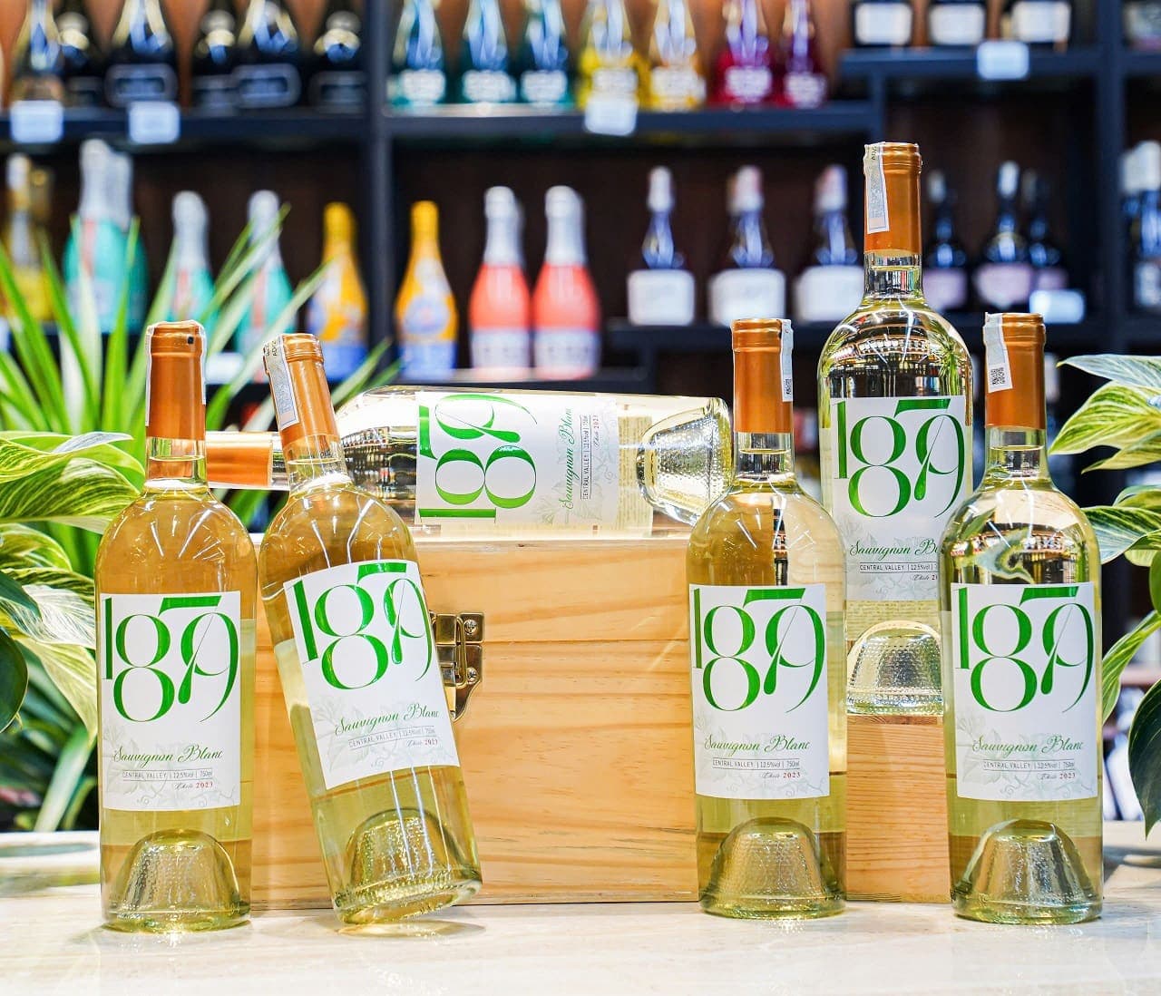 Ruou Vang Trang 1879 Sauvignon Blanc 4