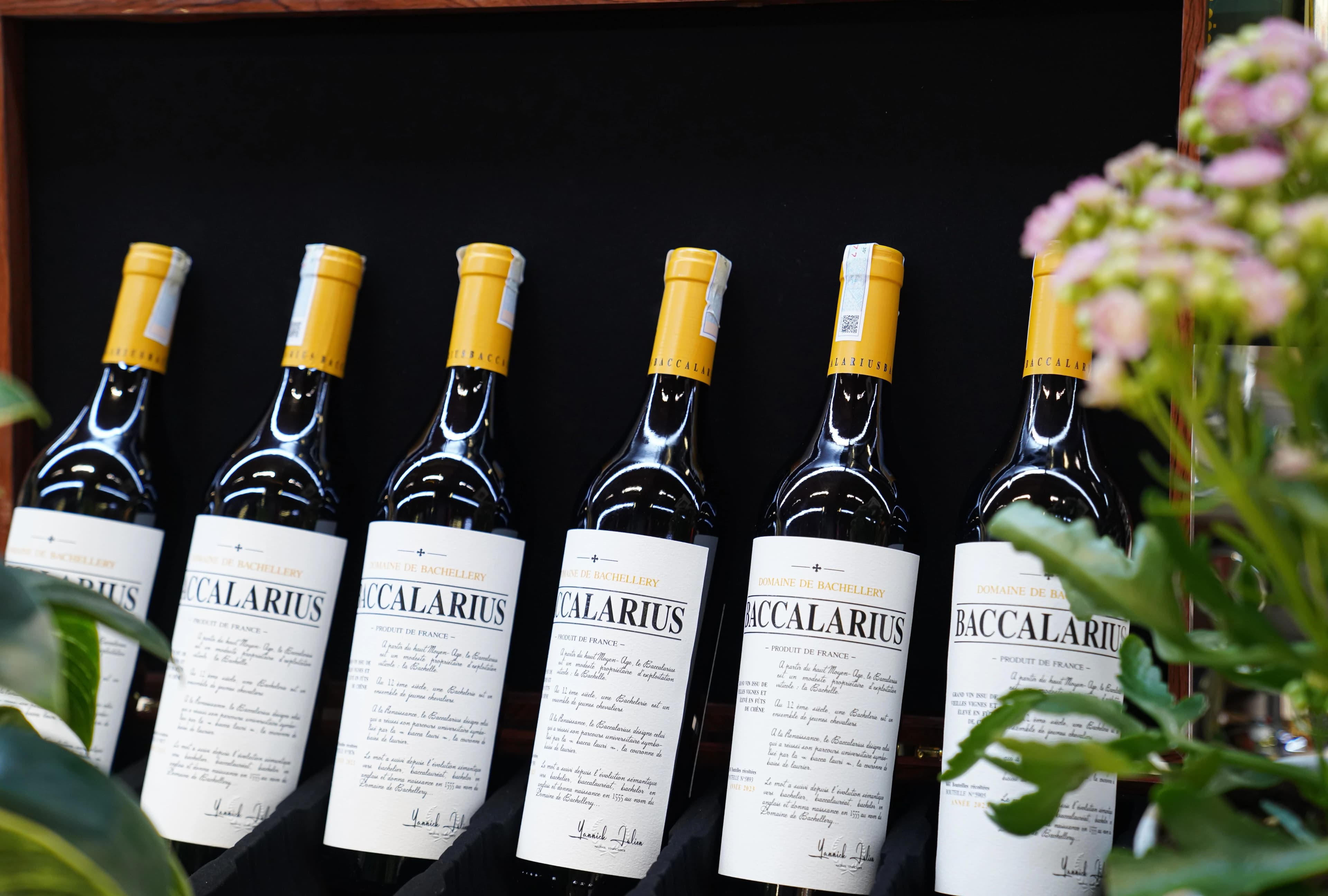 Ruou Vang Trang Baccalarius Blanc10