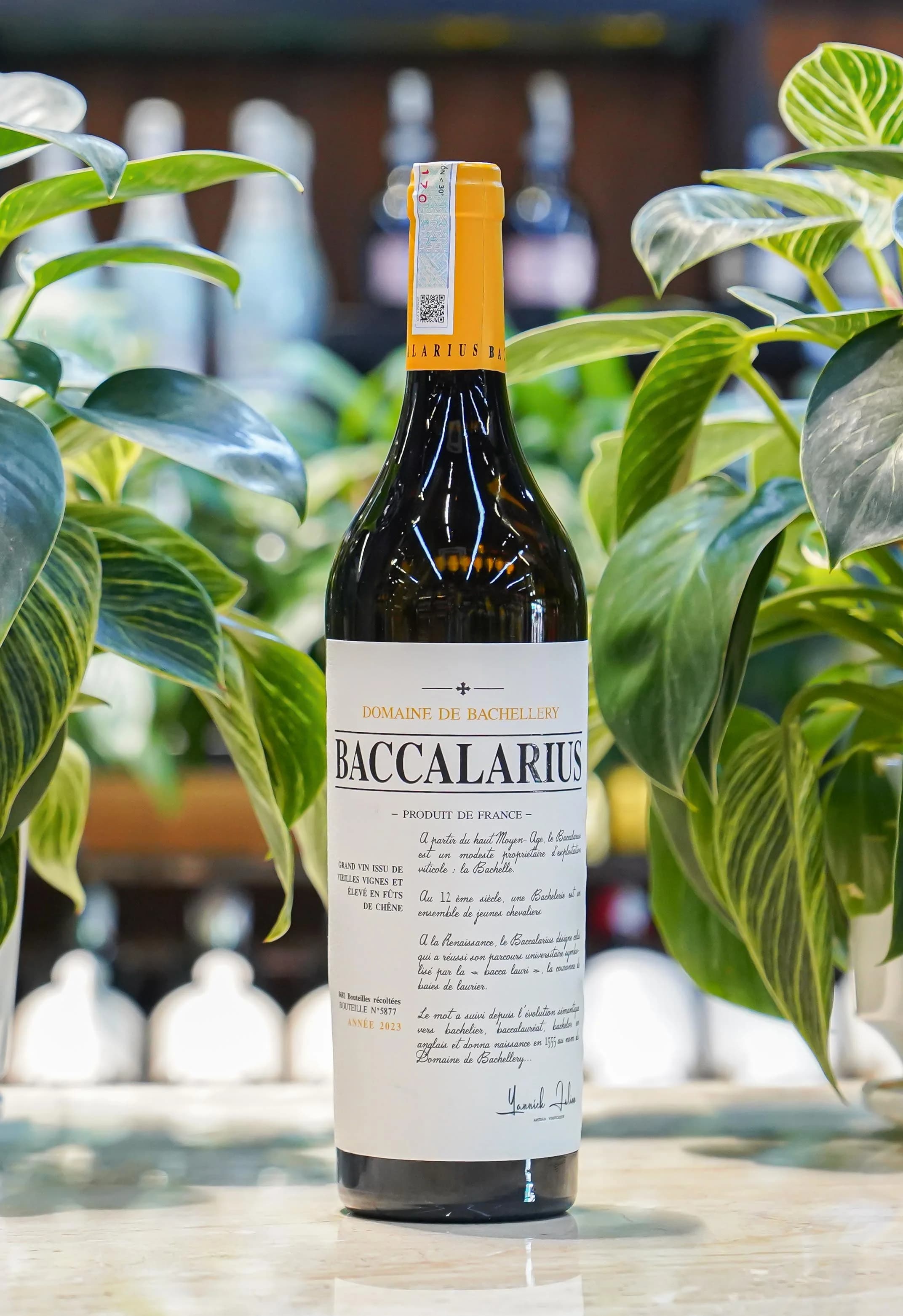 Ruou Vang Trang Baccalarius Blanc 1