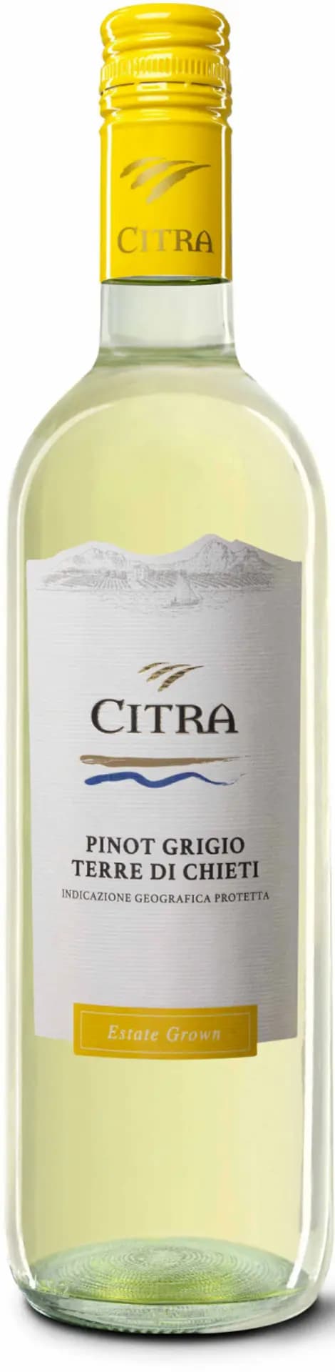 Ruou Vang Y Citra Pinot Grigio 1
