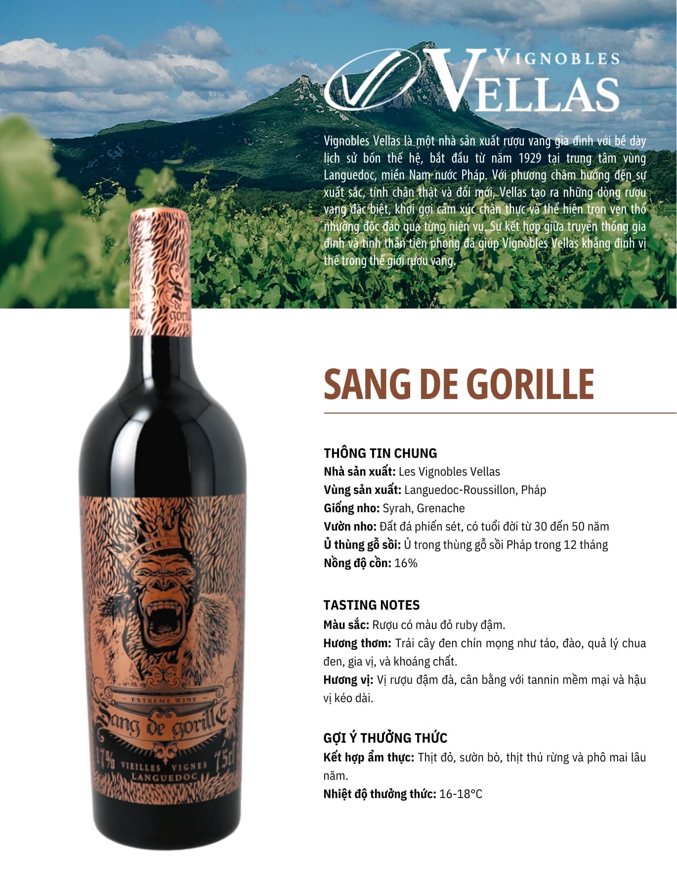 Tasting Notes Sang De Gorille (1)