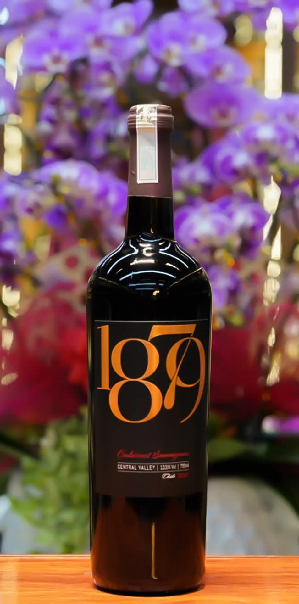 Ruou Vang Chile 1879 Cabernet Sauvignon 2